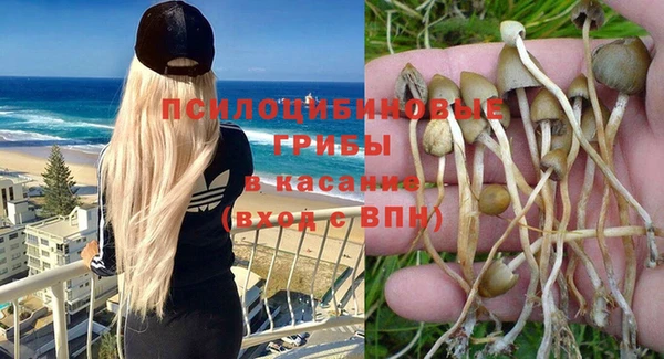 a pvp Липки